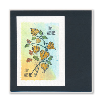 Barbara's Chinese Lantern Spray A6 Stamp Set