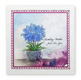 Linda's Floral - Set 2 A6 Stamp & Mask Collection