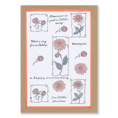 Barbara's SHAC Dahlia Floral Panels A6 Square Stamp Set