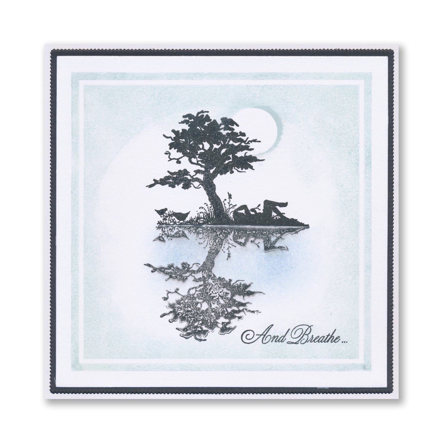 Dippy Toe Lady & Company A6 & A6 Square Stamp Collection + FREE White Gel Pen!