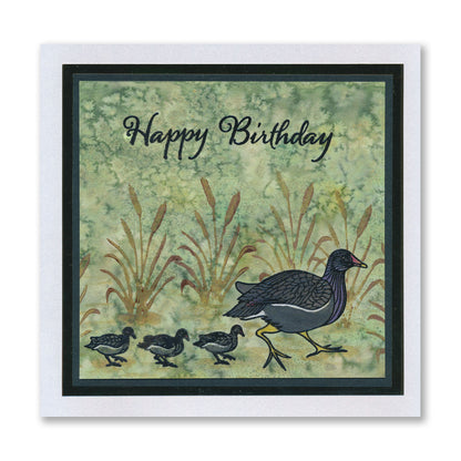 Moorhens A6 Square Stamp & Mask Set