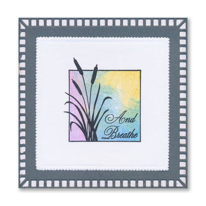 Dippy Toe Lady & Company Sampler A4 Stamp Set