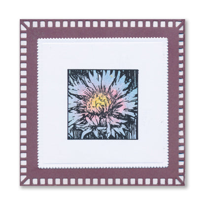 Dippy Toe Lady & Company Sampler A4 Stamp Set