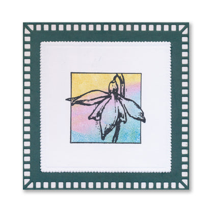 Dippy Toe Lady & Company Sampler A4 Stamp Set