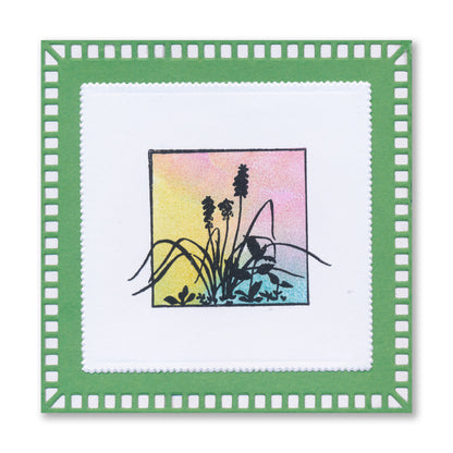 Dippy Toe Lady & Company Sampler A4 Stamp Set