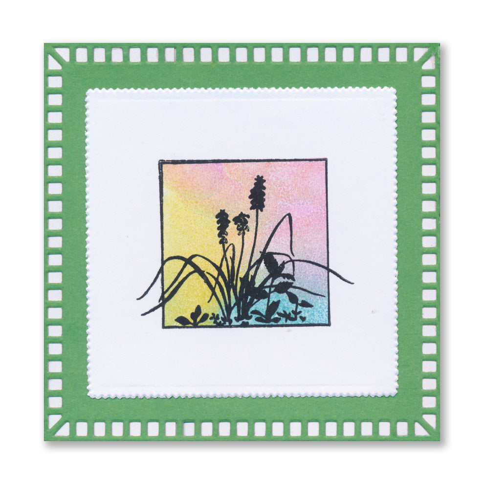 Dippy Toe Lady & Company Sampler A4 Stamp Set – Clarity Crafts
