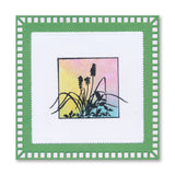 Dippy Toe Lady & Company Sampler A4 Stamp Set + FREE White Gel Pen!
