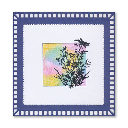 Dippy Toe Lady & Company Sampler A4 Stamp Set