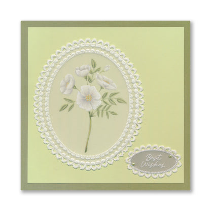 Posies Midi Groovi Plate Collection