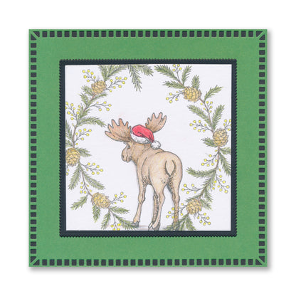 Barbara's Christmas Animals A6 Stamp & Mask Collection with FREE GIFT A6 Embedder Stencil Worth £4.99