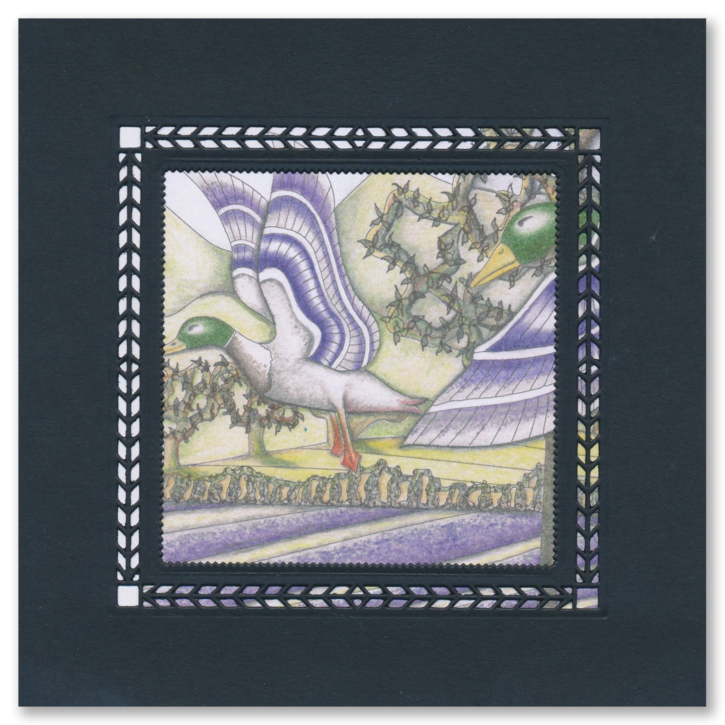 Colouring Postcards - Feathered Friends Collection Set 1