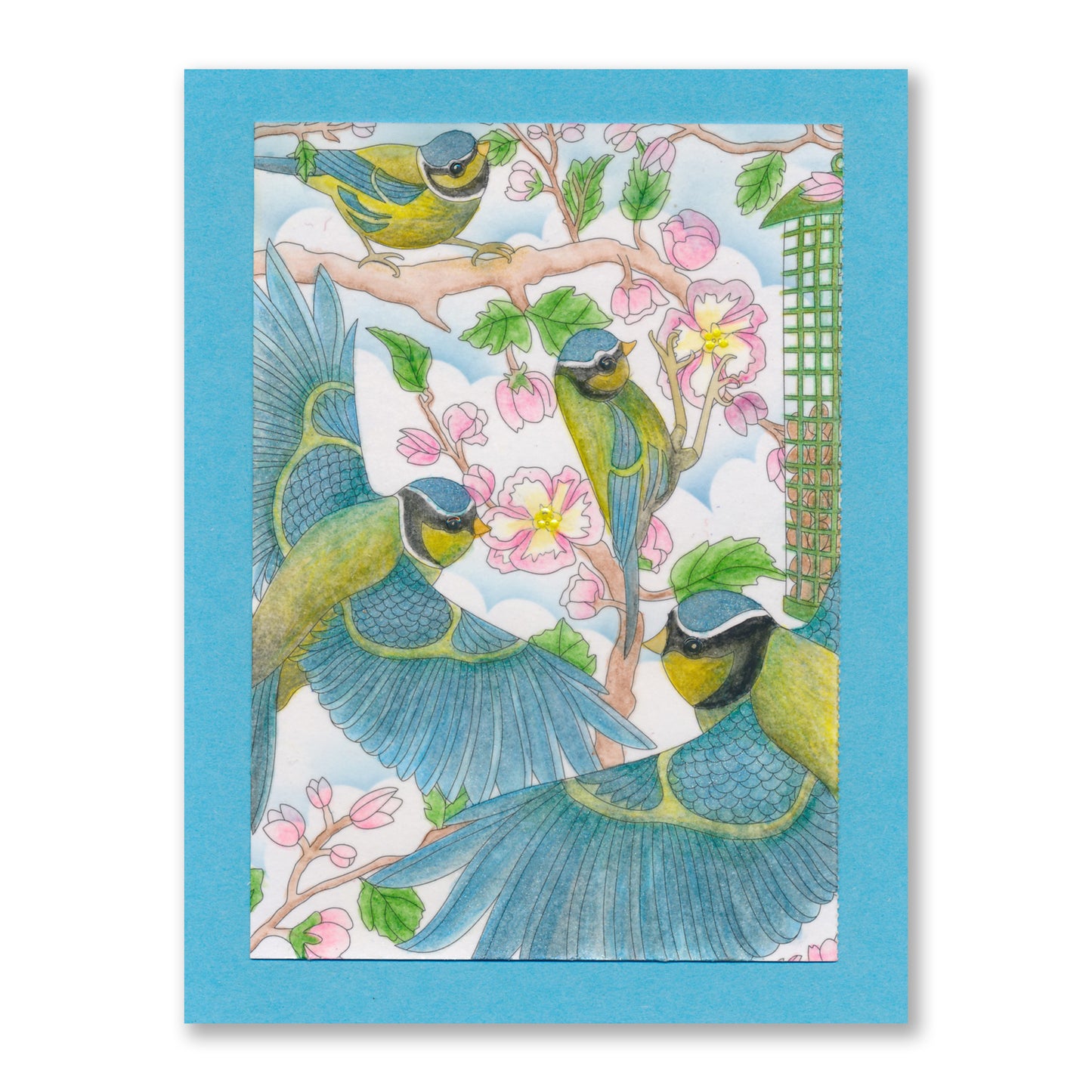 Feathered Friends Postcards & Bookmarks Collection