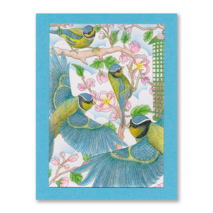 Feathered Friends Postcards & Bookmarks Collection