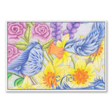 Colouring Postcards - Feathered Friends Collection Set 3