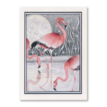 Colouring Postcards - Feathered Friends Collection Set 3