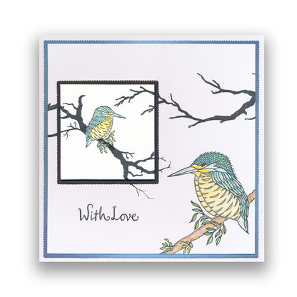 Feathered Friends A5, A5 Square & A6 Stamp & Mask Collection