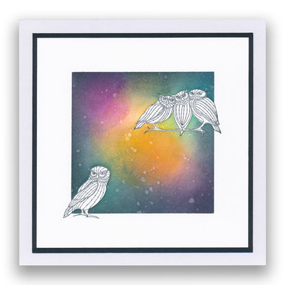 Feathered Friends Miniatures A5 Stamp & Mask Set