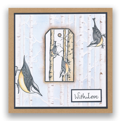 Feathered Friends Miniatures A5 Stamp & Mask Set