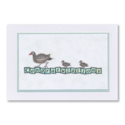 Feathered Friends Miniatures A5 Stamp & Mask Set