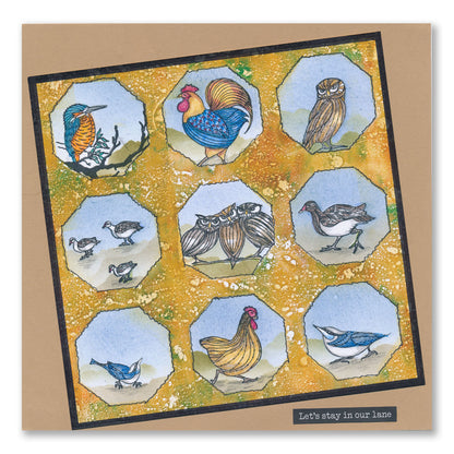 Feathered Friends Miniatures A5 Stamp & Mask Set