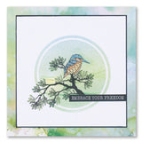 Feathered Friends Miniatures A5 Stamp & Mask Set