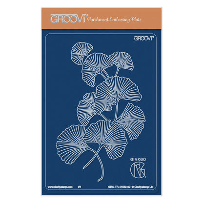 Ginkgo Spray A6 Groovi Plate