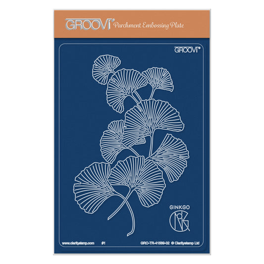 Ginkgo Spray A6 Groovi Plate