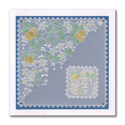 Linda's Layering Frames Sampler A4 Groovi Plate