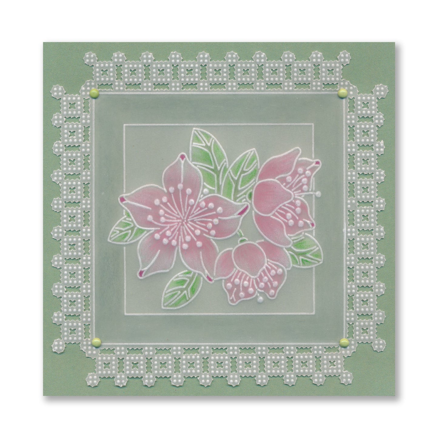 Tina's Happy Today Floral Sampler A4 Groovi Plate