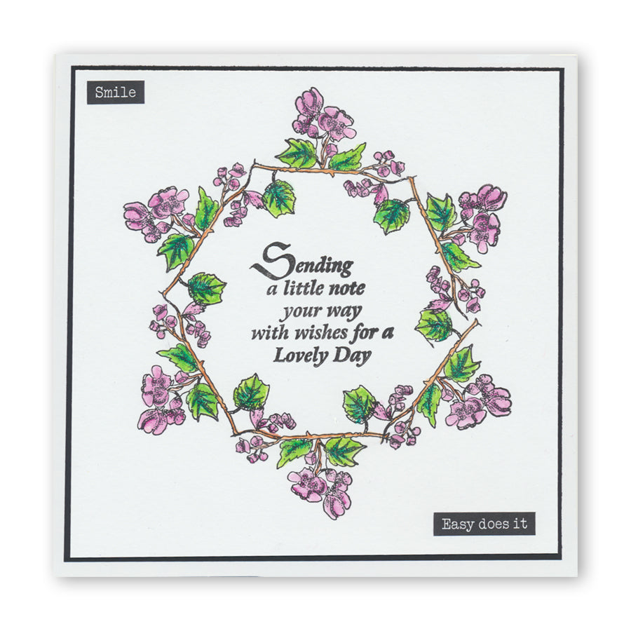 Garden Birds & Cherry Blossom A5 Stamp & Mask Set