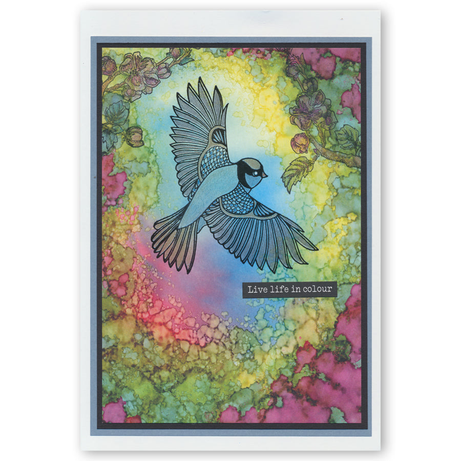 Garden Birds & Cherry Blossom A5 Stamp & Mask Set