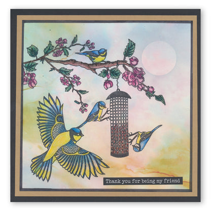 Garden Birds & Cherry Blossom A5 Stamp & Mask Set