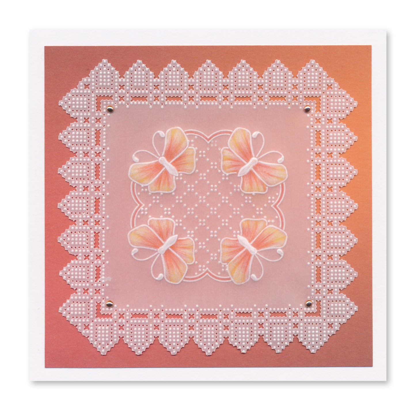 Deluxe Groovi Grid Starter Kit