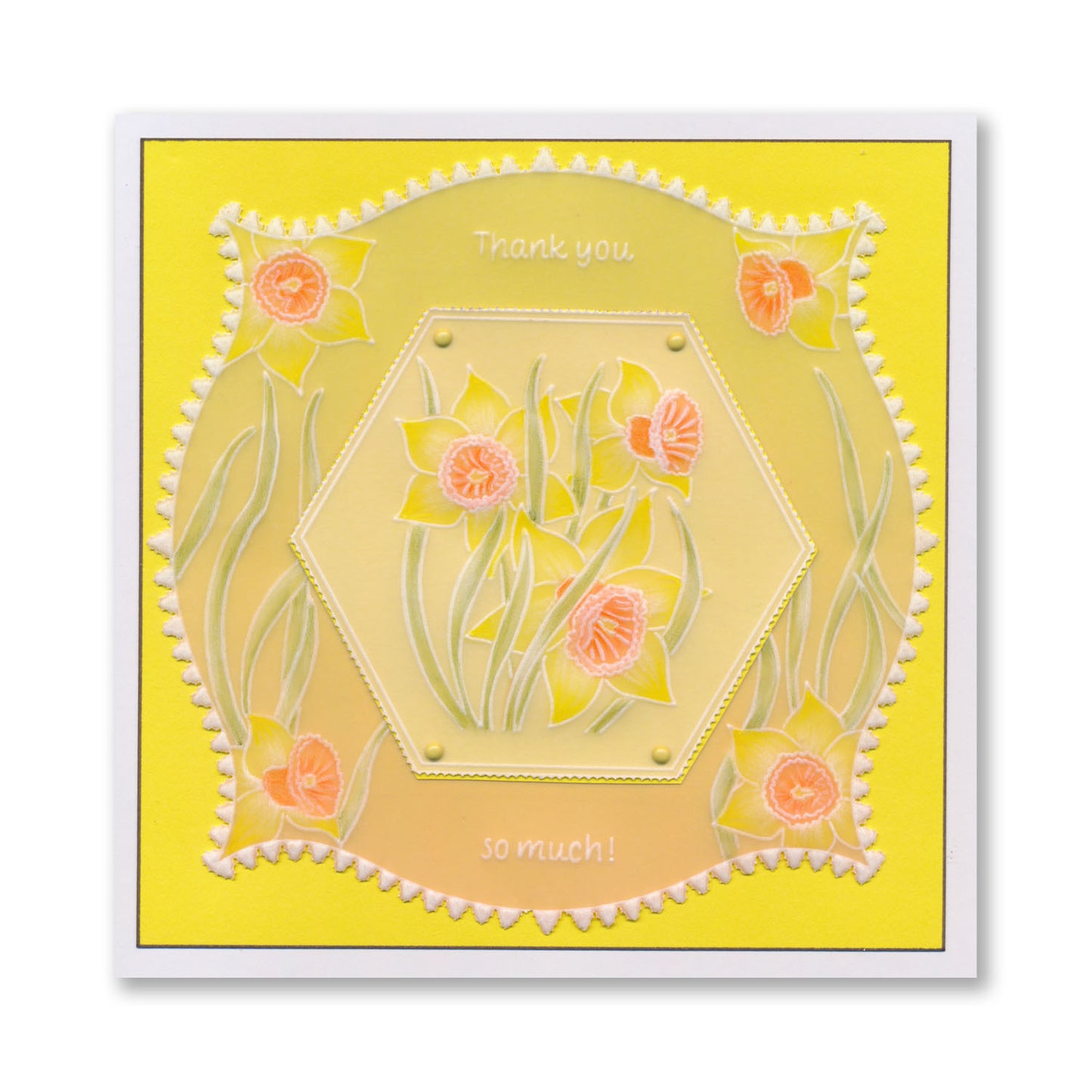 Happy Birthday Daffodils A6 Square Groovi Plate