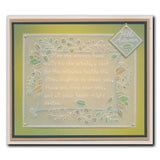 Barbara's SHAC Framers A5 Square Groovi Plate Collection