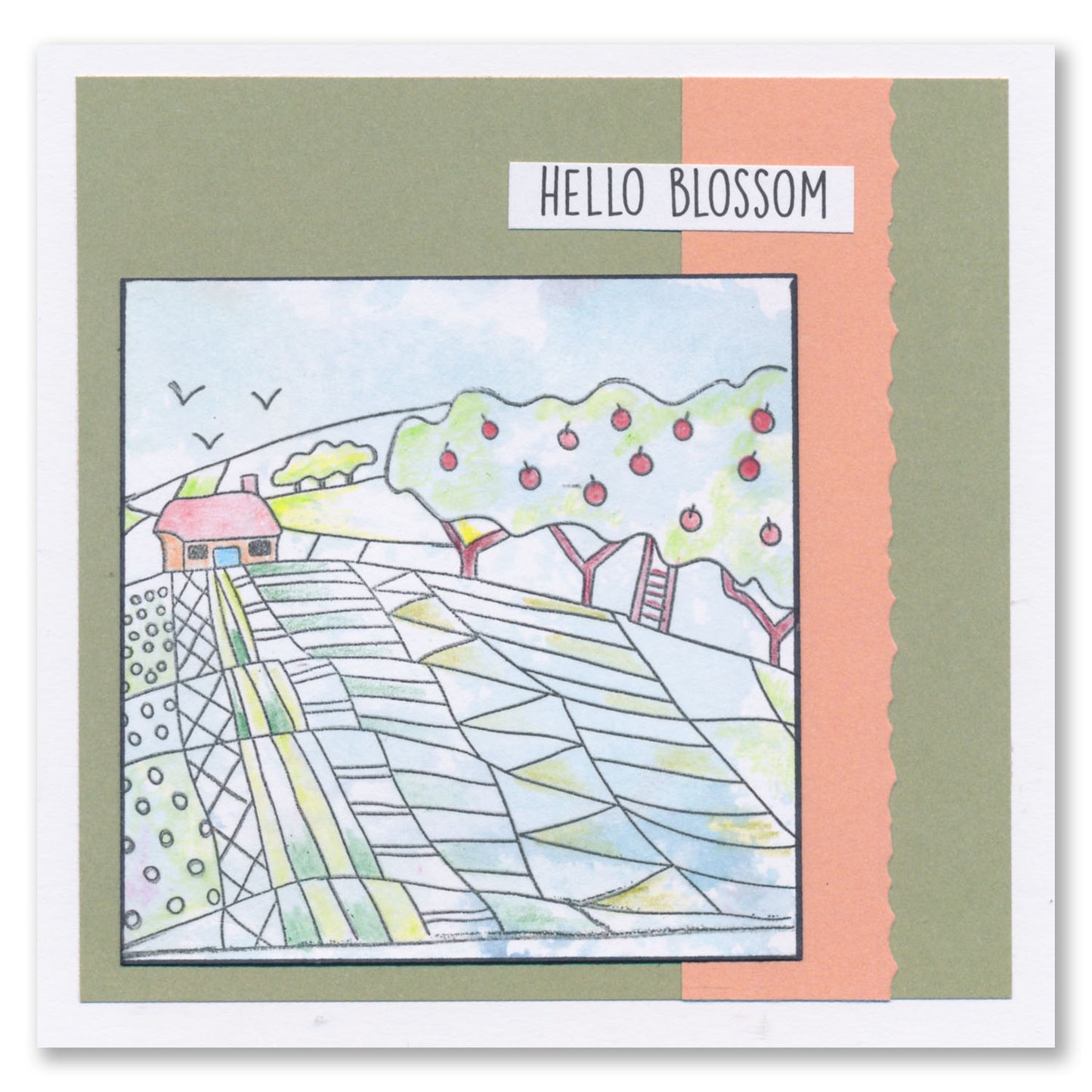 Barbara's SHAC Kent Garden of England A4 Slim Stamp Set