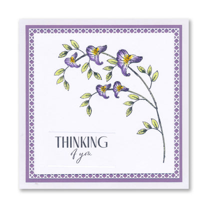 Dotted Blooms & Sentiment Stalks - Set 1 - Happy Birthday A5 Stamp & Mask Set
