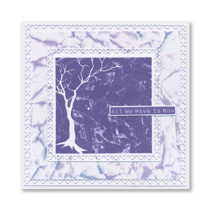 Square Tree Aperture A6 Stamp Collection