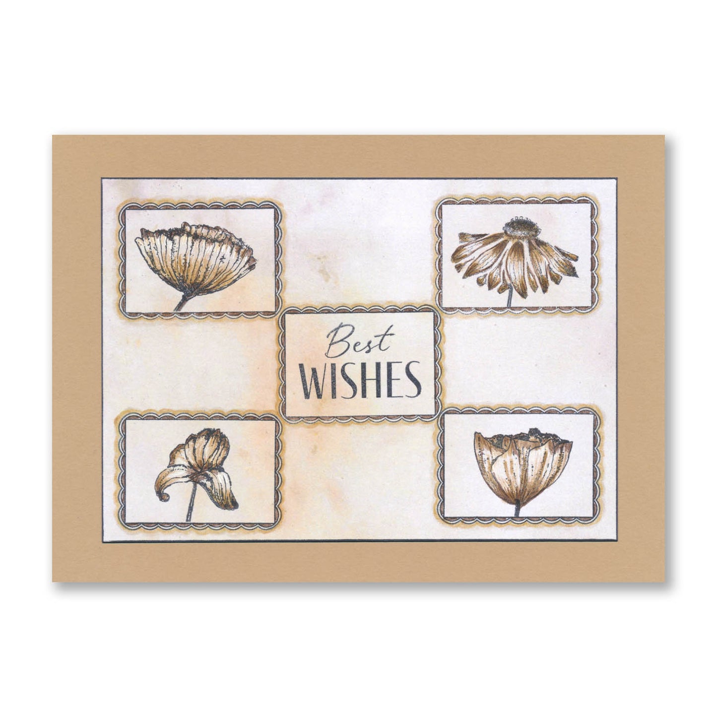 Statement Sentiments A5 Stamp Set