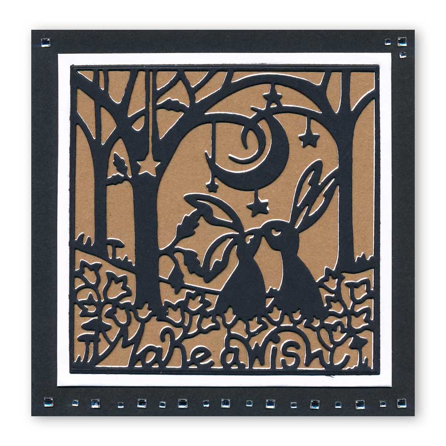 Make a Wish Aperture Clarity Fresh Cut Die