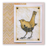 Bird Outline & Garden Miniatures A6 Stamp & Mask Duo