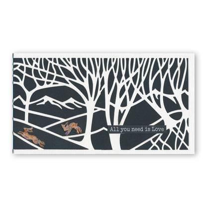 Panoramic Aperture Collection Clarity Fresh Cut Dies