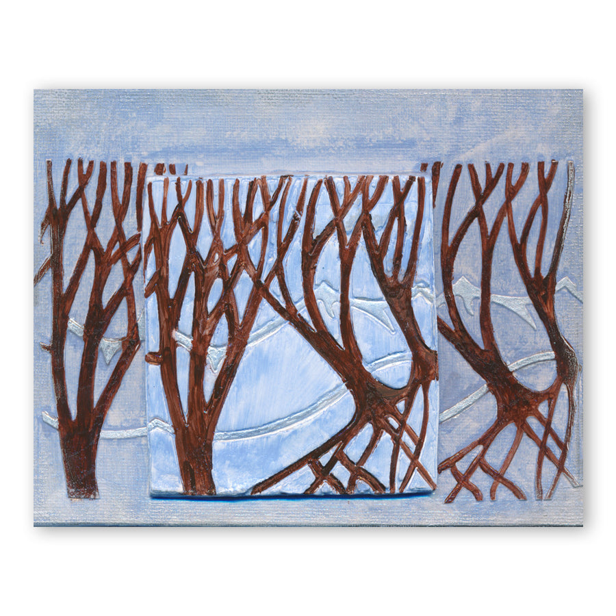 Panoramic Aperture Collection Clarity Fresh Cut Dies