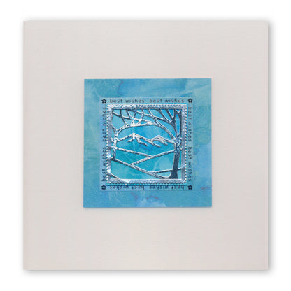 Panoramic Aperture Collection Clarity Fresh Cut Dies