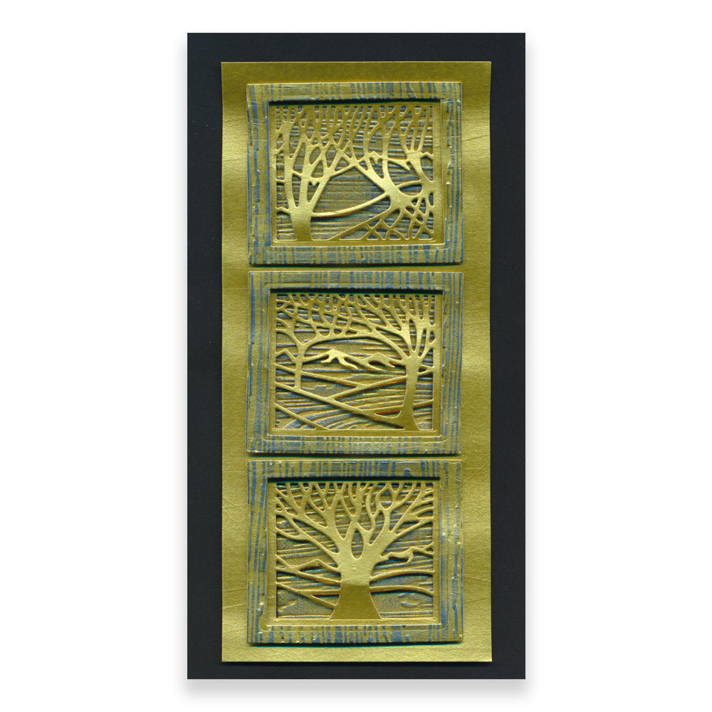 Panoramic Aperture Collection Clarity Fresh Cut Dies