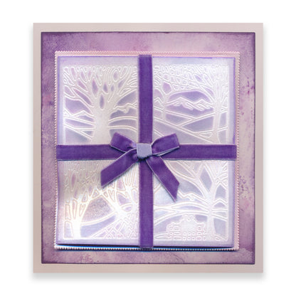 Panoramic Aperture Collection Clarity Fresh Cut Dies