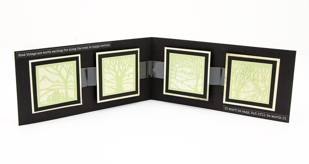 Panoramic Aperture Collection Clarity Fresh Cut Dies