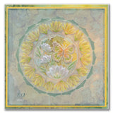 Barbara's SHAC Japanese Flowers & Butterflies Complete Groovi Plate Collection