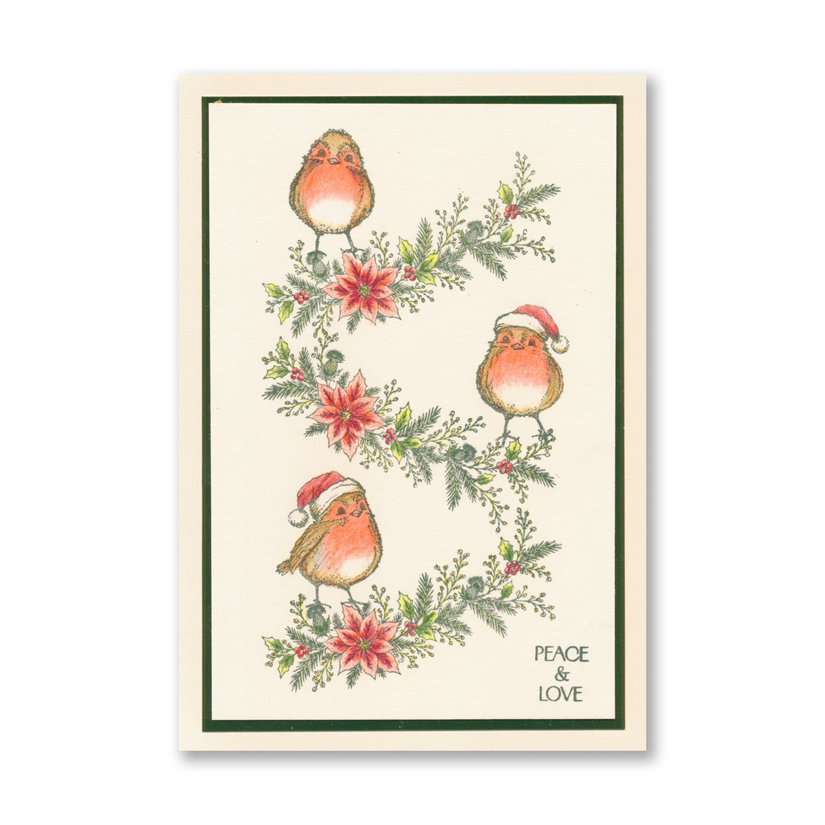 Barbara's Christmas Animals - Robins A6 Stamp & Mask Set