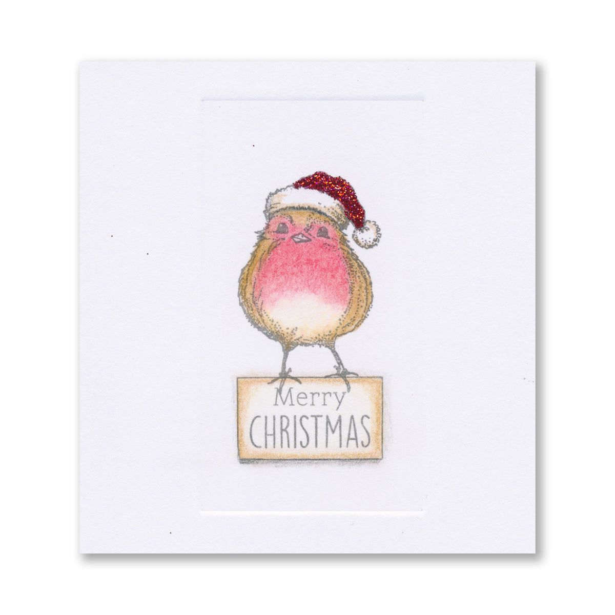 Barbara's Christmas Animals - Robins A6 Stamp & Mask Set